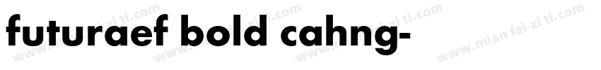 futuraef bold cahng字体转换